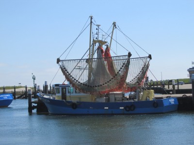 Voorjaar op Texel